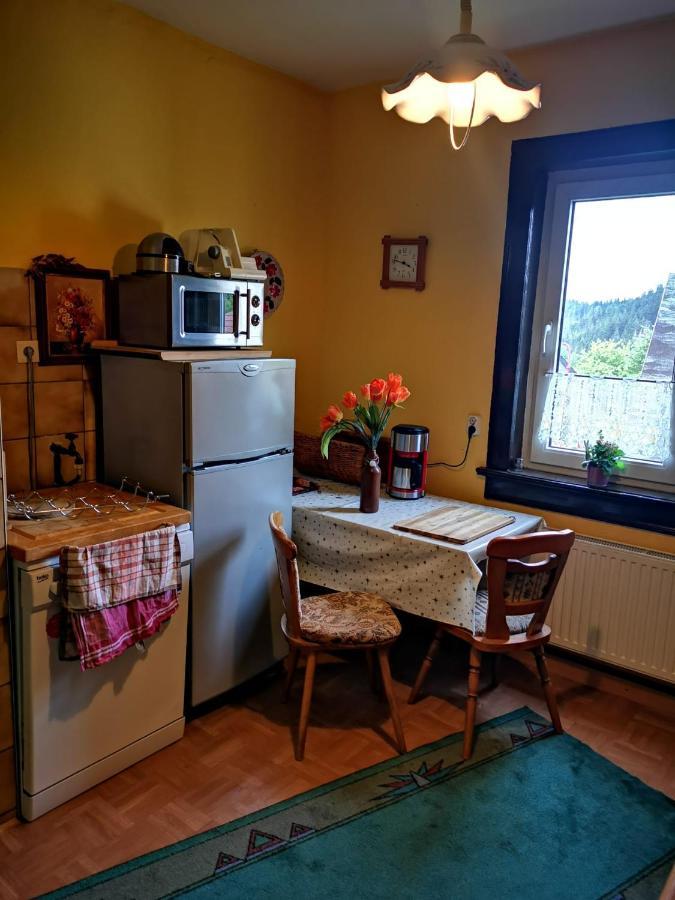 Gehlberger Landhaus Am Schneekopf / Ferienwohnung Suhl Kültér fotó